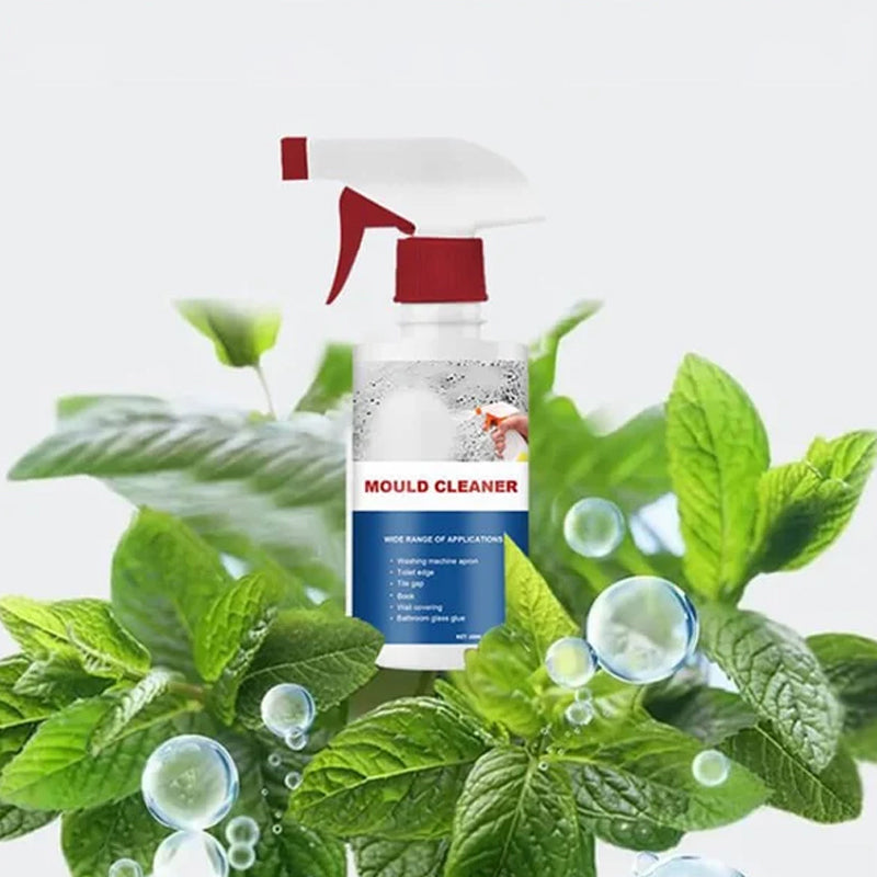 Nettoyant anti-moisissure Mousse