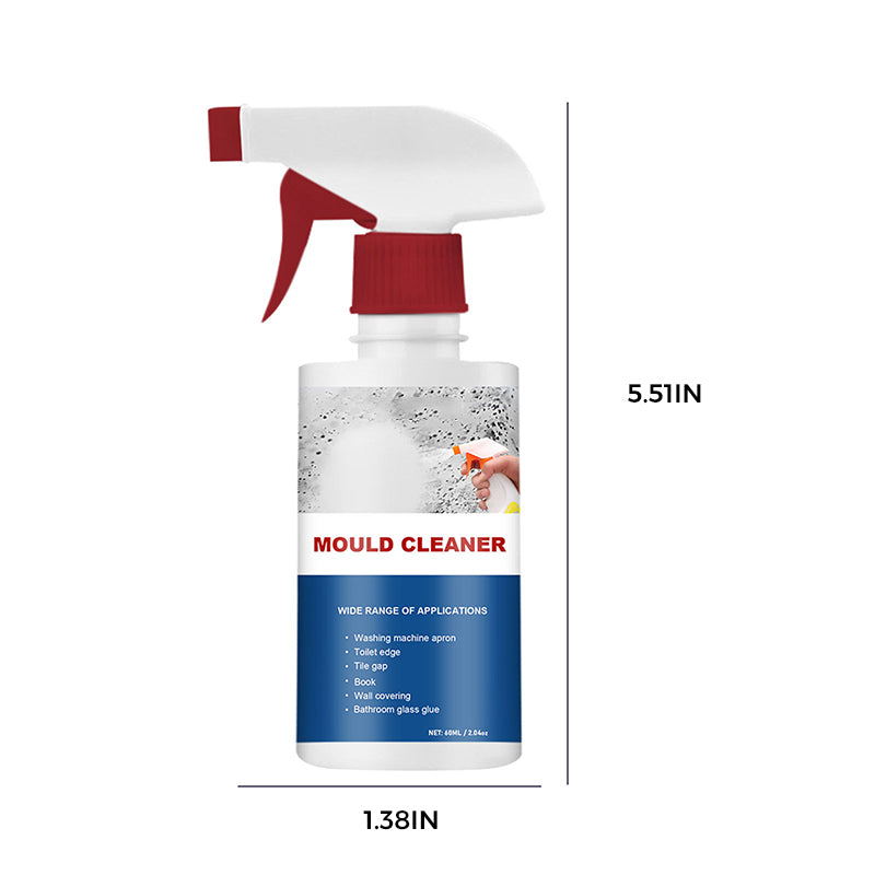 Nettoyant anti-moisissure Mousse