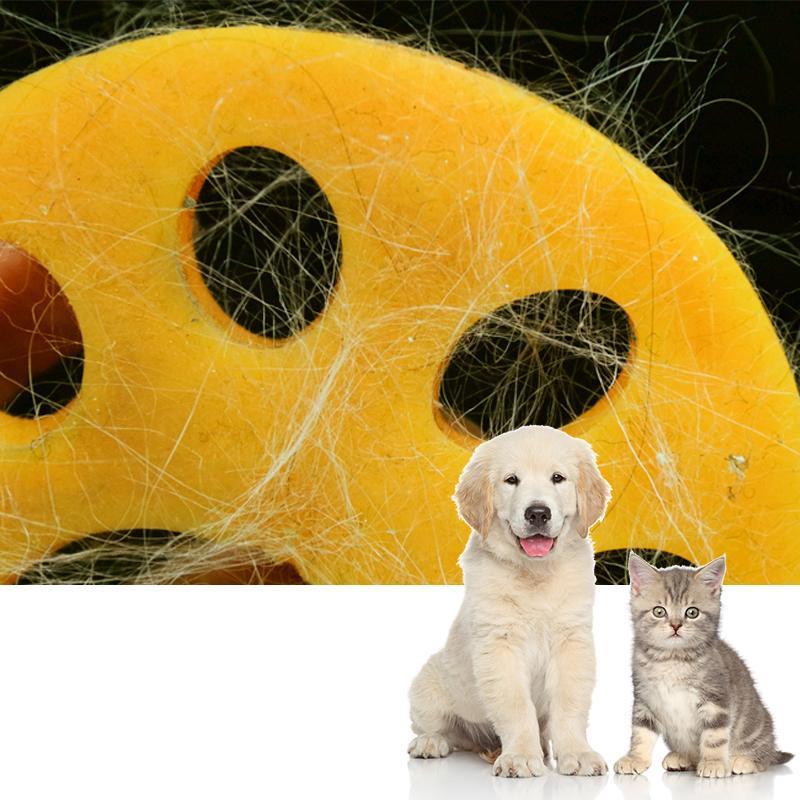 Éliminateur de Poils d'Animaux pour Linge pour Tous les Animaux de Compagnie
